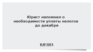 Юрист напомнил о необходимости уплаты налогов до декабря