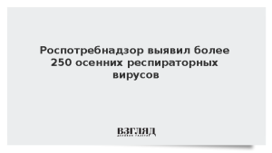 Роспотребнадзор выявил более 250 осенних респираторных вирусов