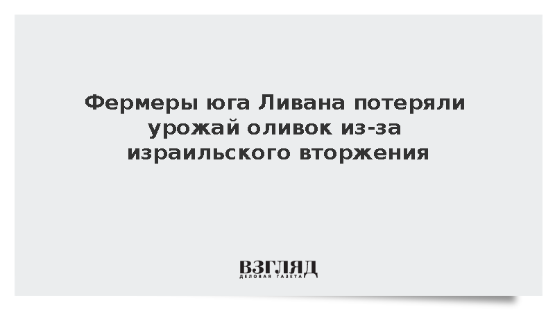 Фермеры юга Ливана потеряли урожай оливок из-за израильского вторжения