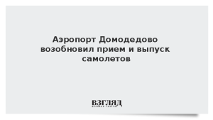 Аэропорт Домодедово возобновил прием и выпуск самолетов