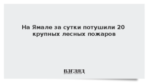 На Ямале за сутки потушили 20 крупных лесных пожаров