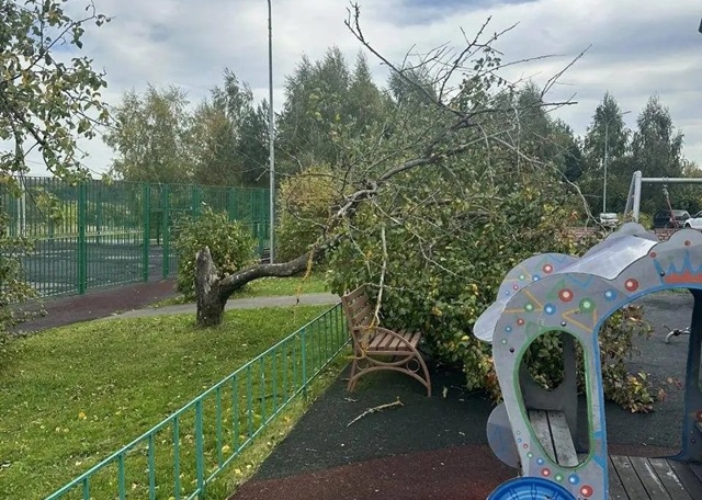 Ураган в Москве: падают деревья, срывает кровли, есть погибший