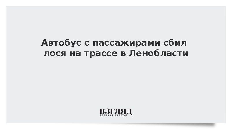 Автобус с пассажирами сбил лося на трассе в Ленобласти