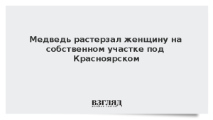 Медведь растерзал женщину на собственном участке под Красноярском
