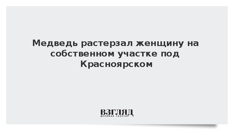 Медведь растерзал женщину на собственном участке под Красноярском