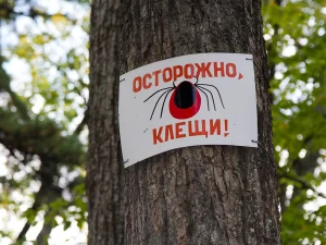 В Татарстане с начала сезона от клещей пострадали почти 10 тыс. человек