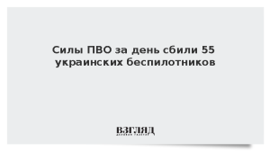 Силы ПВО за день сбили 55 украинских беспилотников