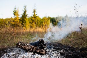 В Татарстане зафиксировано 372 термические точки и 224 возгорания у лесов — лесных пожаров в этом году нет