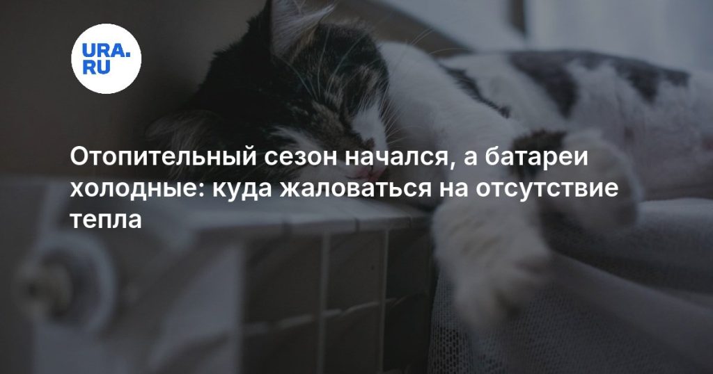 Отопительный сезон начался, а батареи холодные: куда жаловаться на отсутствие тепла