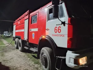 В Бугульме при пожаре в частном доме погибли два человека