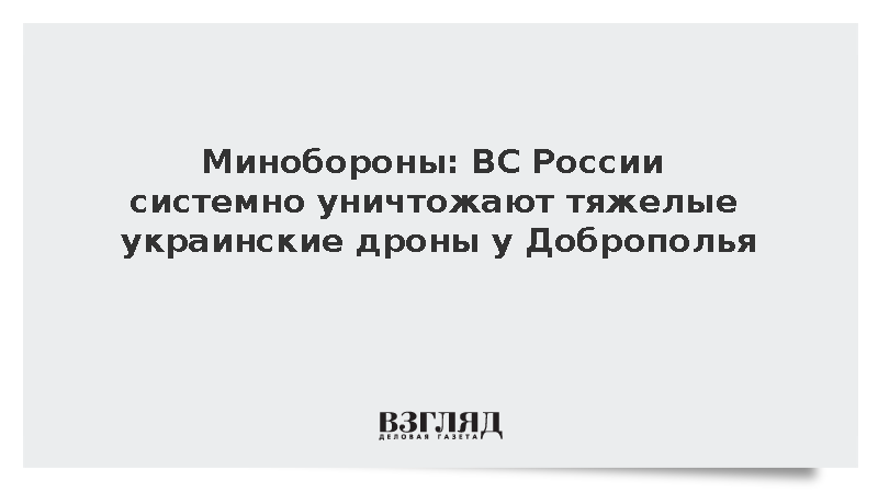 Минобороны: ВС России системно уничтожают тяжелые украинские дроны у Доброполья