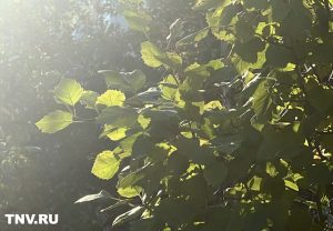 В Татарстане 28 сентября воздух прогреется до +23 градусов