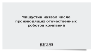 Мишустин назвал число производящих отечественных роботов компаний