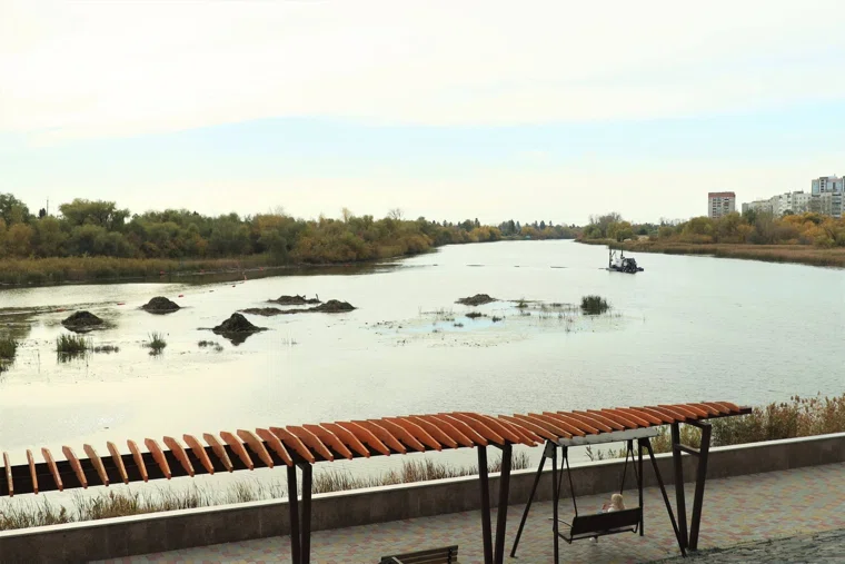 В Кургане расчистят 1,7 километра Тобола от «Бабьих песков» до плотины. Фото