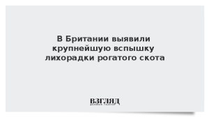 В Британии выявили крупнейшую вспышку лихорадки рогатого скота