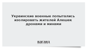 Украинские военные попытались изолировать жителей Алешек дронами и минами