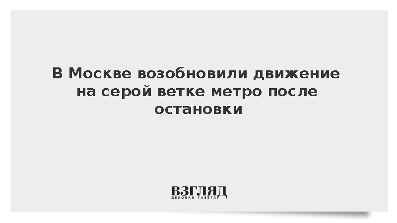 В Москве возобновили движение на серой ветке метро после остановки