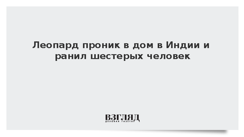 Леопард проник в дом в Индии и ранил шестерых человек