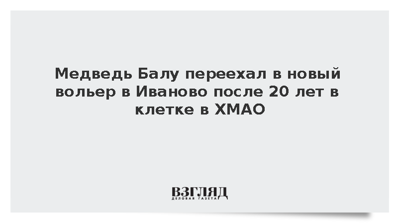 Медведь Балу переехал в новый вольер в Иваново после 20 лет в клетке в ХМАО