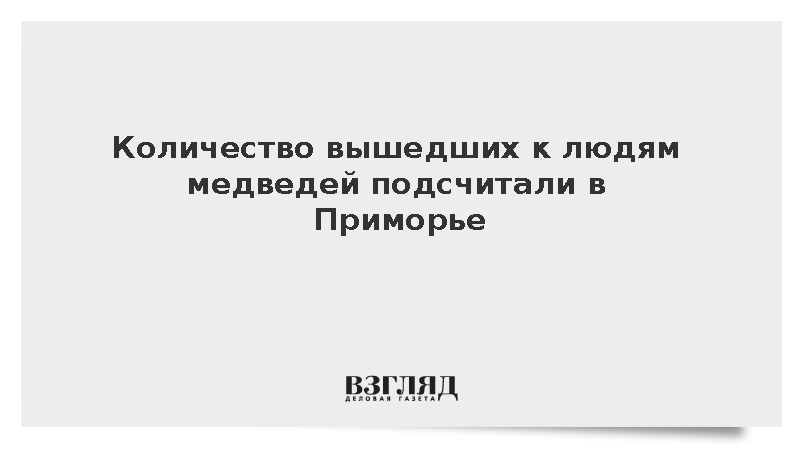 Количество вышедших к людям медведей подсчитали в Приморье