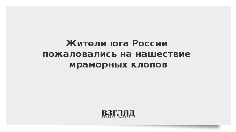 Жители юга России пожаловались на нашествие мраморных клопов