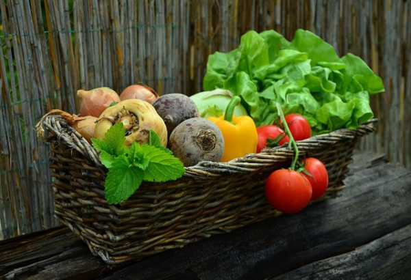Производство продуктов выросло в Казахстане