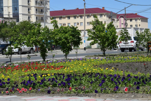 В Атырау привлекают предприятия к озеленению региона