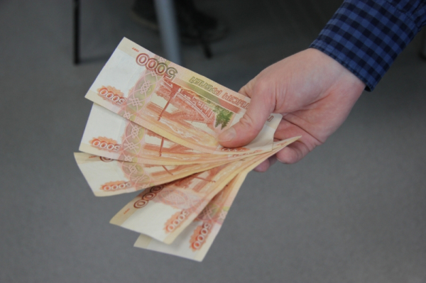 В Новосибирской области повысят зарплаты работникам бюджетной сферы